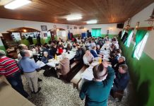 Rota das adegas em Pias