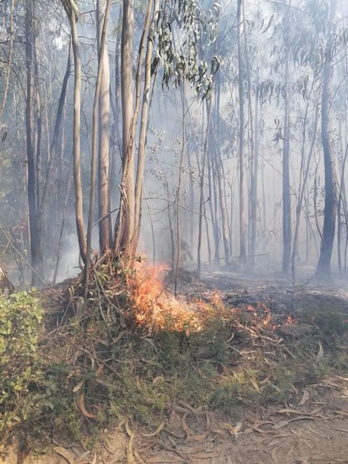 received_1144077735966429