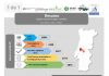 Covid 19 – Relatório de 28 de janeiro